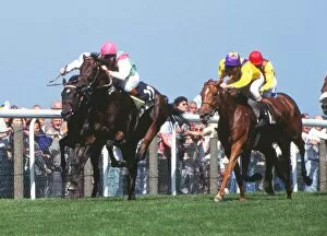 Images Dated 19th October 2009: Placerville and Urban Sea during the 1993 Prince of Wales Stakes