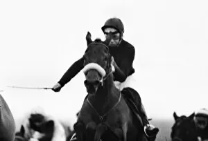 Images Dated 18th February 2011: Red Rum at the 1973 Hennessey Gold Cup