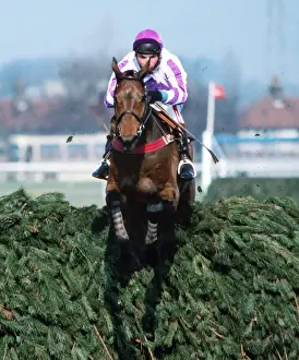 Rough and Tumble and John Francome on the way to finishing second in the 1980 Grand National