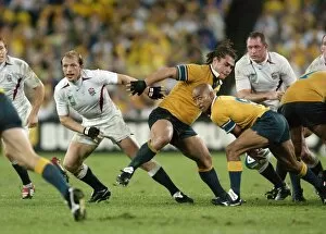 2003 Rugby World Cup Final Collection: The two scrum halves in the 2003 World Cup final