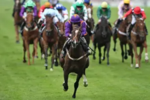 Horse Racing Prints: Simenon ridden by Ryan Moore, leads the Ascot Stakes - Royal Ascot 2012