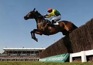 Images Dated 15th March 2010: Sizing Europe - Cheltenham Festival 2010