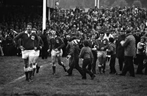 Images Dated 13th April 2011: The Stradey Park crowd invade the pitch after JJ Williams try against Australia in 1975