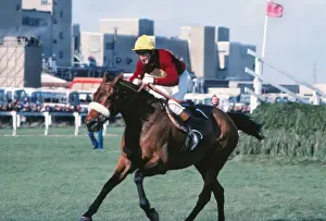 Tommy Stack and Red Rum race to the line to win the 1977 Grand National