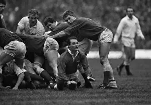Images Dated 2nd November 2011: Wales Terry Holmes - 1984 Five Nations