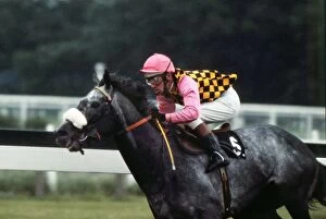 Horse Racing Collection: Warpath, ridden by Eddie Hide in the colours of Guy Reed, during the 1973 Prince of Wales stakes