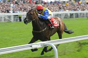 Yorkshire Ebor Festival - The Betfred City of York Stakes